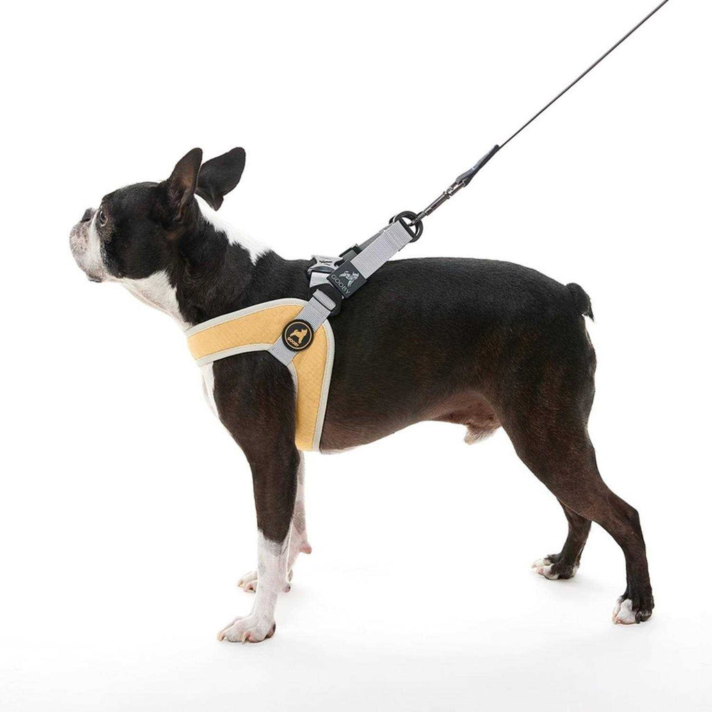 Step-In Dog Harness D656
