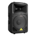 12-Inch PA Speaker V3278