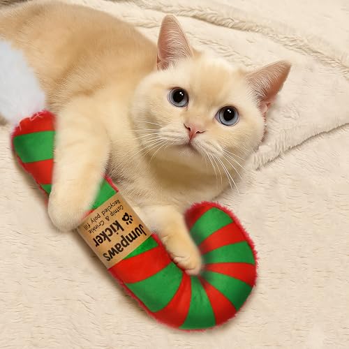 2 Pack Natural Catnip Cat Kicker Toys Z8041