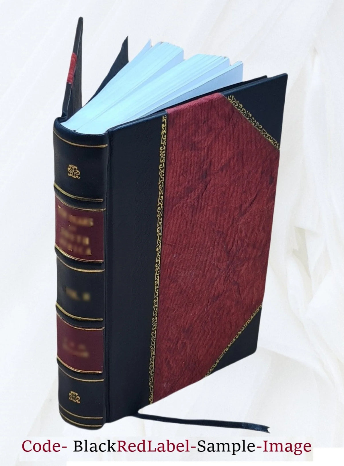 Leather Bound B580
