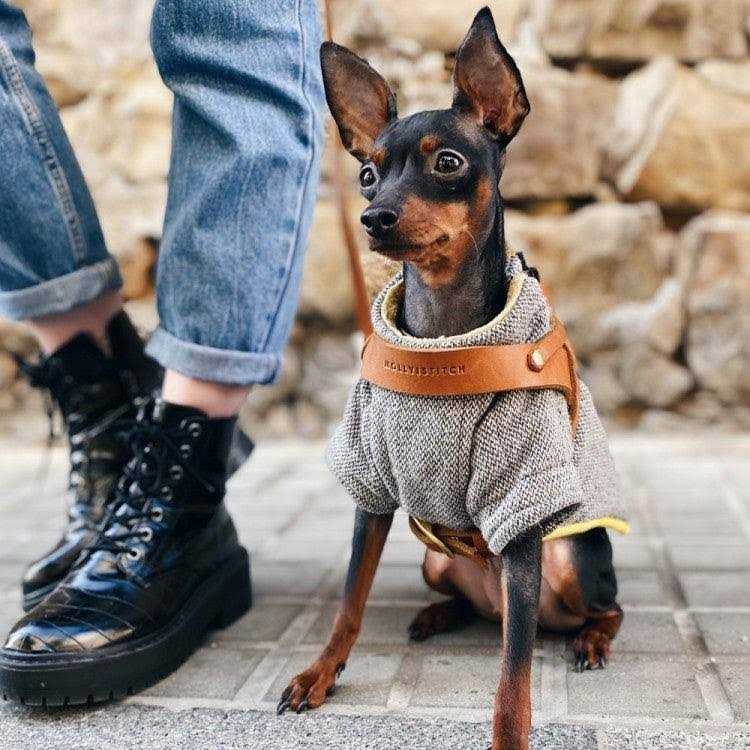 Leather Dog Harness P9725