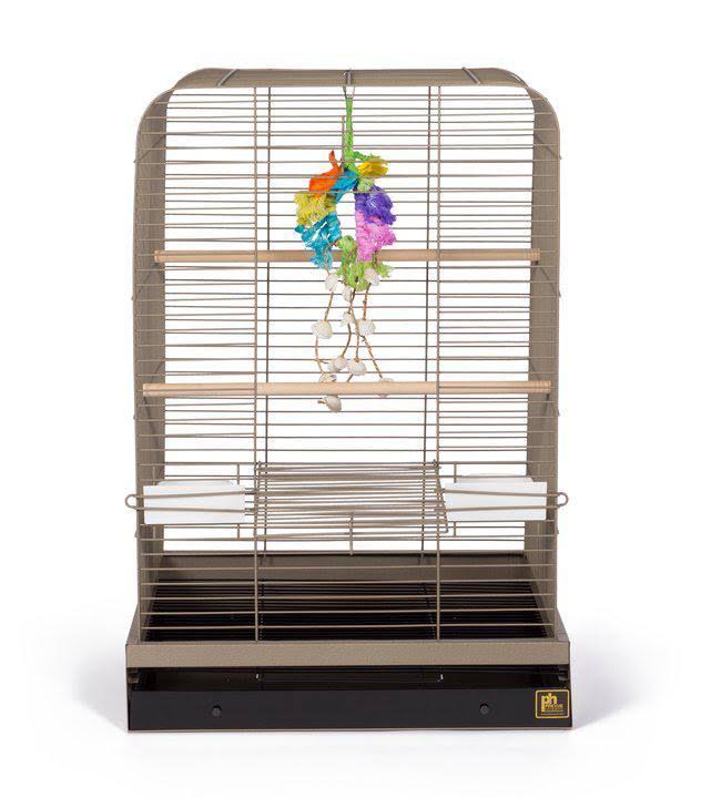 Black Bird Cage U331179